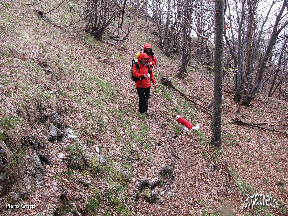 66 Diretti al Passo di Bliben.jpg